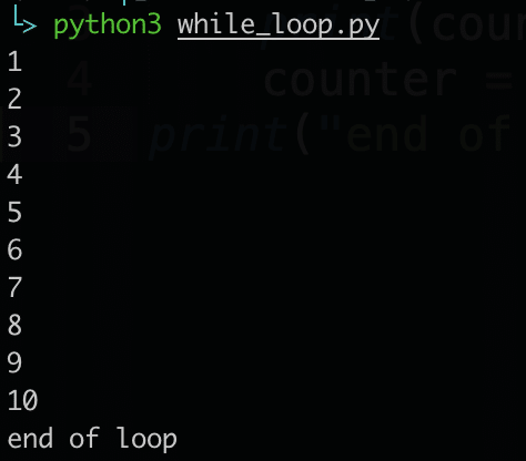 python while loop counter