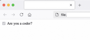 How to add a checkbox in HTML - programmerAbroad
