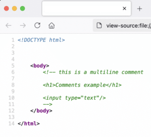 How to add comments in HTML - programmerAbroad