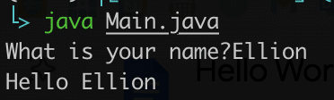 Input Output from console in java 25