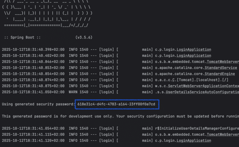 Spring security auto-generated password in console log